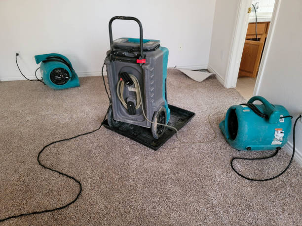Best Water damage restoration near me  in Old Stine, CA