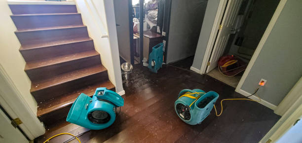 Best Water damage cleanup near me  in Old Stine, CA