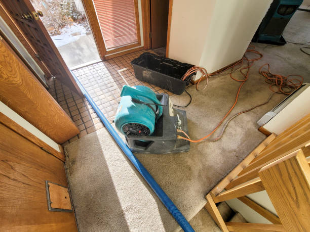  Old Stine, CA Water damage restoration Pros