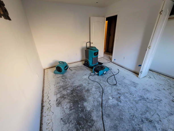 Best Flood restoration services  in Old Stine, CA