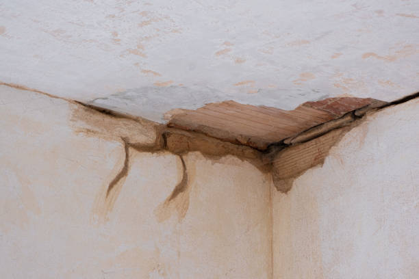 Best Ceiling water damage repair  in Old Stine, CA
