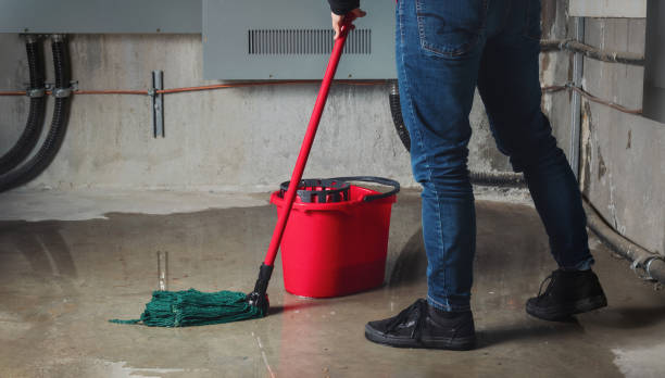 Best Water damage restoration process  in Old Stine, CA