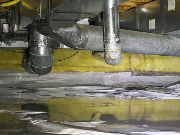Best Local water damage restoration  in Old Stine, CA