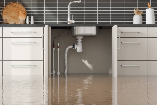 Best Fire Damage Restoration  in Old Stine, CA