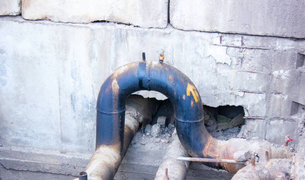 Best Professional water damage repair  in Old Stine, CA