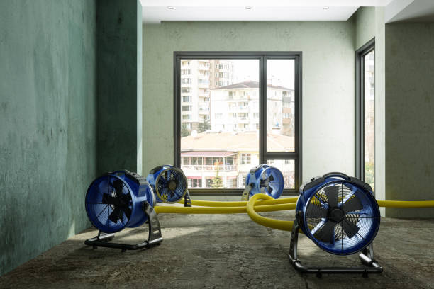 Best Sewage cleanup and water damage restoration  in Old Stine, CA